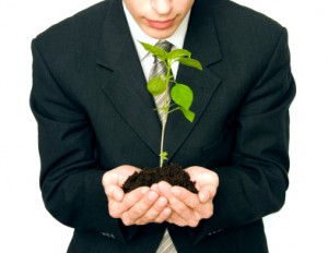 business-startup1-300x232