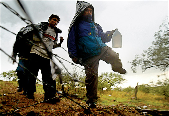 immigrant