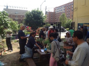 Ford se unió al programa comunitario GreenThumbs del Departamento de Parques de Nueva York, para conmemorar El Día Mundial de La Ecología- junio 5 de 2013.