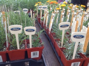 Ford y GreenThumbs del Departamento de Parques de Nueva York educan a hispanos en el Bronx acerca de las cualidades de vivir una vida mejor para ayudar a conservar el medioambiente.  