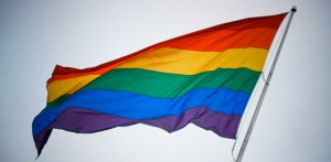 Queer Studies