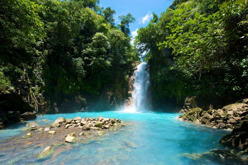 Costa Rica (Image via APHS)