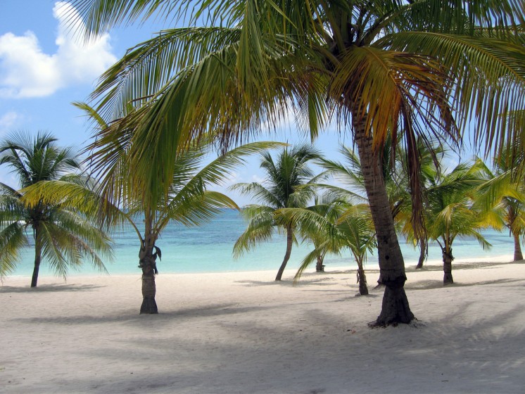 Isla Saona, Dominican Republic (Image via Dominican Republic Real Estate)