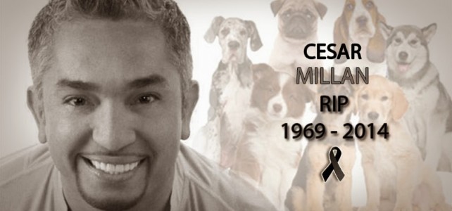 photo of Cesar Milan by noticiasunan
